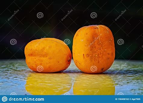 Two Ripe True Lemon Cucumbers On A Wet Surface Stock Photo Image Of