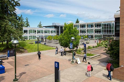 Mckinstry Names Bellevue College Champion Of Sustainability