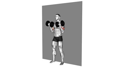 Dumbbell Strict Curl Ultimate Guide And Tips