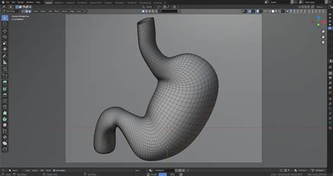 Stomach 3d Model Cgtrader