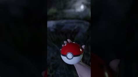 Geodude In Real Life Pokémon In Real Life Pokemon