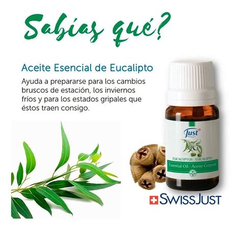 Aceite Esencial De Eucalipto 10ml Just Producto Original Mundo Natural