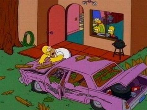 The Simpsons S10e11 Wild Barts Cant Be Broken Summary Season 10