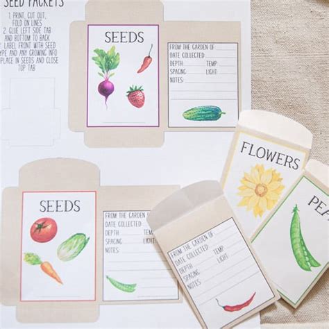 Free Printable Seed Packets Gardening Diy With Amy