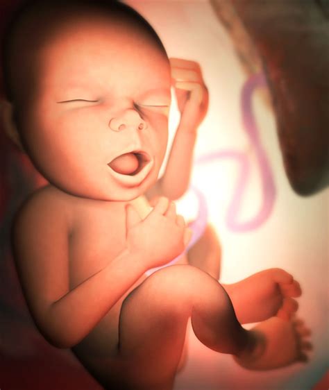Well, we recommend the babycenter pregnancy tracker & baby app! Your Babies: Week 33