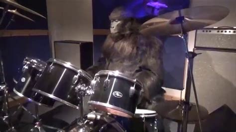 Cadbury Gorilla Advert Animatronic Cadbury World Youtube