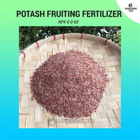250g Muriate Of Potash Fertilizer 0 0 60 Gardening Tita