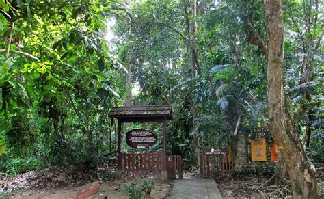 Soovite osta lennupiletit linnast kuala lumpur linna taman negara madalaima hinna eest? Stay At Rainforest Taman Negara In Kuala Lumpur.