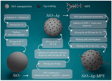 Polymers Free Full Text Silver Coated Silica Nanoparticles Modified