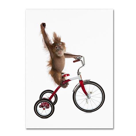 Buy J Hovenstine Studios Monkeys Riding Bikes 2 14 X 19 Canvas Art