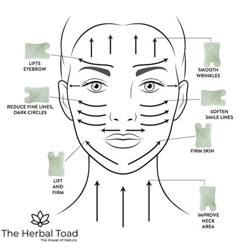 Then sweep from the middle of your chin up your jawline. Benefits and Technique for Gua Sha Facial - The Herbal Toad