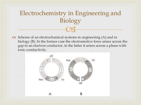 Electrochemistry And The Processes Of Energy Conversion In