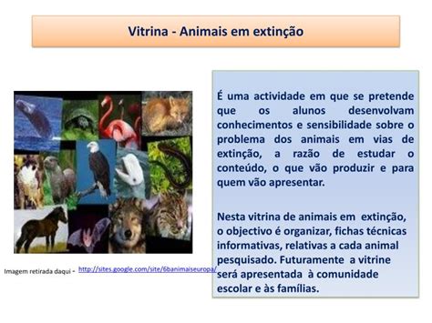 PPT Vitrina Animais em extinção PowerPoint Presentation free download ID