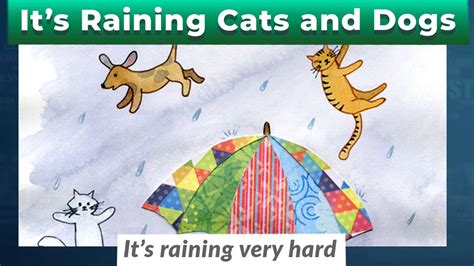 Why Do People Say Its Raining Cats And Dogs