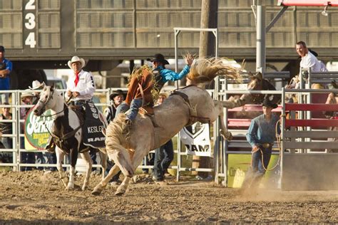Northwest Montana Fair And Rodeo Kalispell