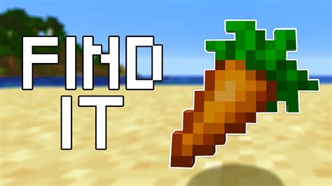 How To Find Carrots In Minecraft All Versions Youtube