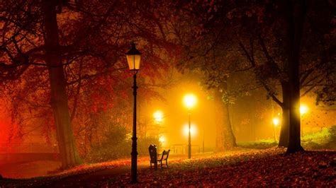 Warm Lights In A Park At Night Hd Desktop Background Wallpaper Free