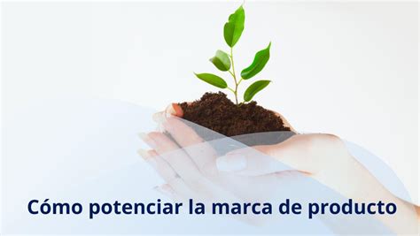 5 Estrategias Para Potenciar La Marca De Tu Producto Innovador