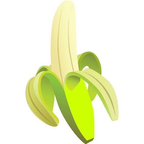Premium Vector Vector Peeled Ripe Green Banana Isolated
