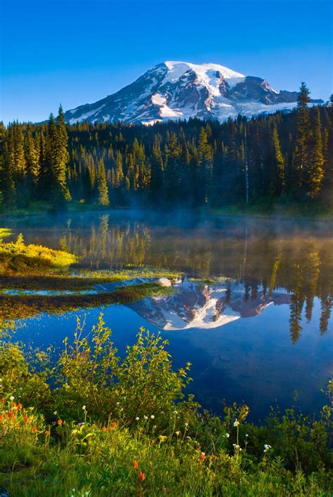 Rainier From Reflection Lakes Pacific Northwest Travel National