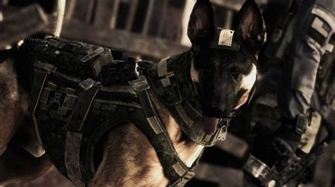 Call Of Duty Ghosts Introduces New Dlc Allows Dog Killstreak To Turn