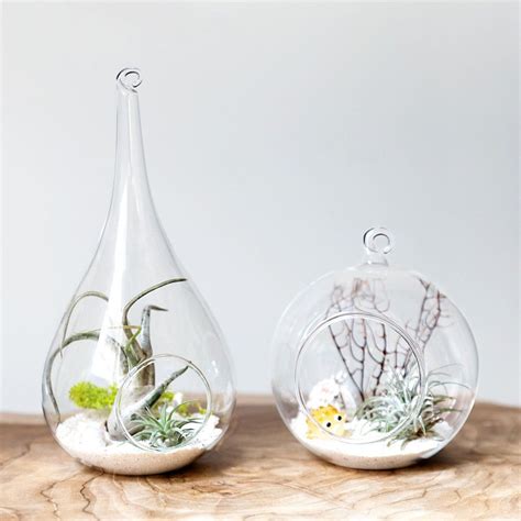 Let your creativity run wild and start beautifying your interiors with natural greenery. BUY Mkono 2 Pack Glass Hanging Planter Air Plant Terrarium ...