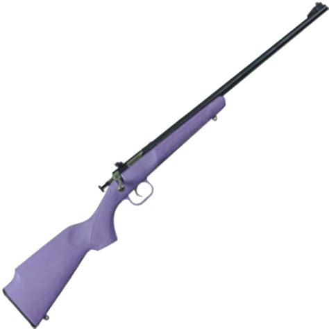 Crickett Synthetic Stock Compact Purple Synthetic Blued Bolt Action
