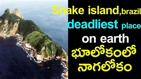 Snake Island Brazil Deadliest Place On Earth In Telugu