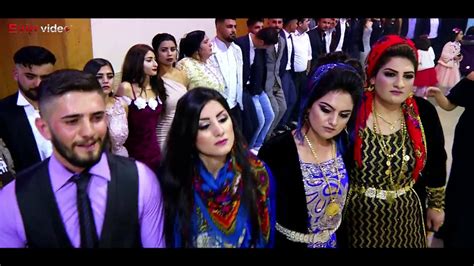 Sharif Maha Kurdische Hochzeit Ross Dekoration 17 11 2017 Part 2
