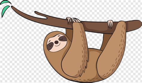 Sloth Sloths Ftestickers Freetoedit Three Toed Sloth Clipart