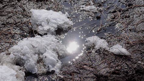What Lies Beneath Melting Snow May Reveal A Surprise