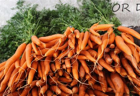 Carrots - bunch