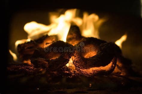 Colorful Fire Detail Stock Photo Image Of Nighttime Flaming 8687314