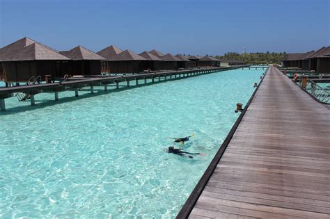 Maldives Paradise Island Resort And Spa Maldive Resort Island