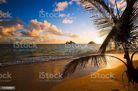 Lanikai Beach In Hawaii Sunrise Scene Stock Photo Download Image Now