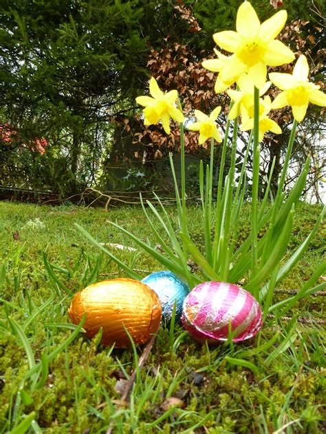 Three Colorful Chocolate Easter Eggs Outdoors Creative Commons Stock Image