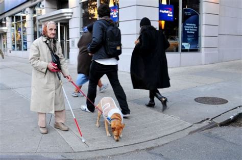How dogs detect an oncoming seizure in a human is a mystery. 10 Service Dogs Photos Proves Dogs Are Better Companions ...