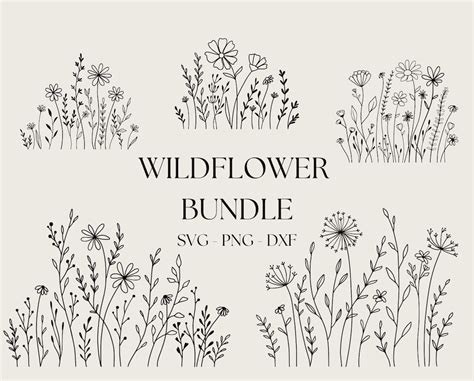Wildflower Bundle Svg Flower Meadow Svg Flower Border Svg Minimalist