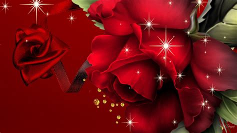 Red Roses Wallpapers Top Free Red Roses Backgrounds Wallpaperaccess