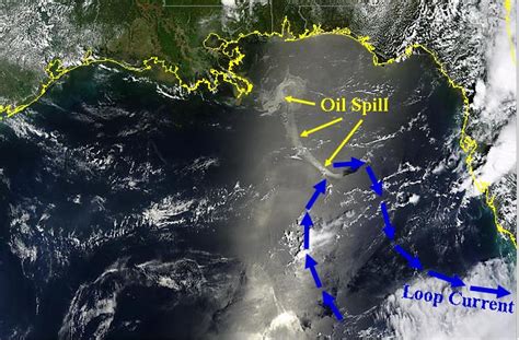 ~ Oil Spill Meets Loop Current Below The Salt News Archive