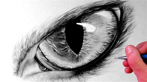 How to draw a cat eye. How to Draw a Cat Eye - YouTube
