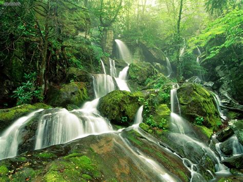 Great Smoky Mountain National Park Tennessee Usa Tourist Destinations