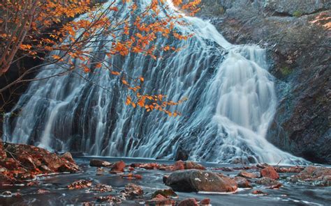 Canada Forest Waterfall In Autumn Stones River Waterfall Tree With Red