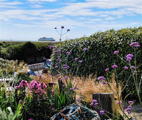 5 Tips For Creating A Coastal Garden Michael Perry Mr Plant Geek