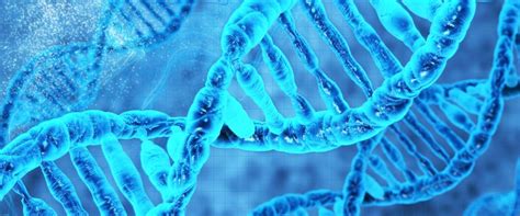 Gene Si Afectiuni Laboratorul De Teste Genetice Personal Genetics