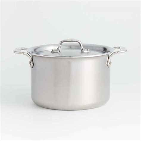 All Clad D3 Curated 55 Quart Stockpot With Lid Reviews Crate