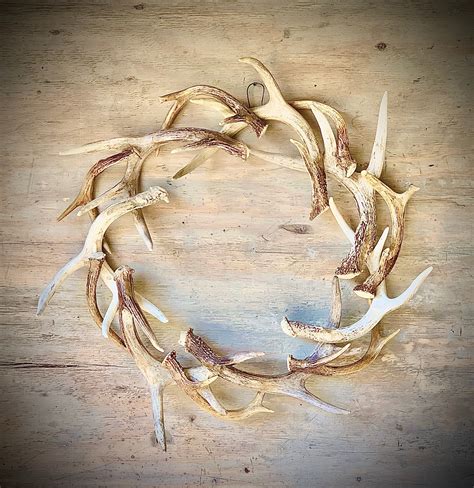 22 real antler wreath free shipping etsy antler wreath deer antler crafts antler crafts