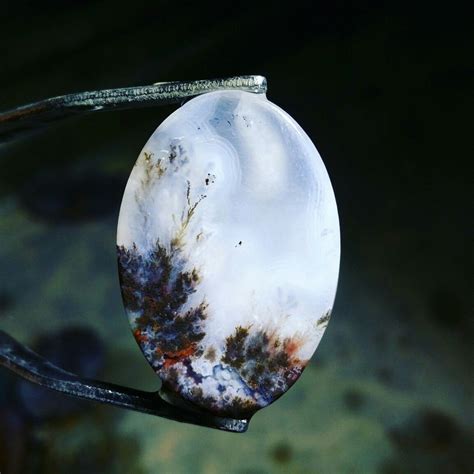 Moss agate. Love the blue background | Moss agate, Agate, Blue backgrounds
