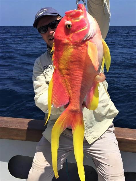 10 Most Unique Deep Sea Fishing Catches Florida Sportsman