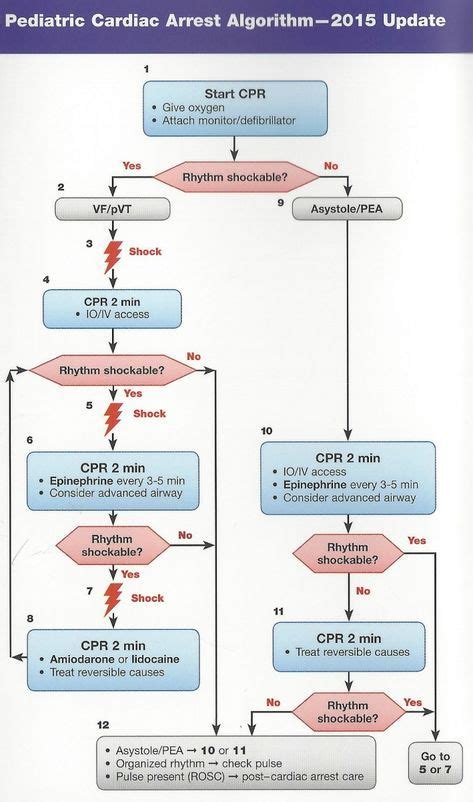 Pals Algorithm Cheat Sheet How To Pass The Pediatric Advanced Life